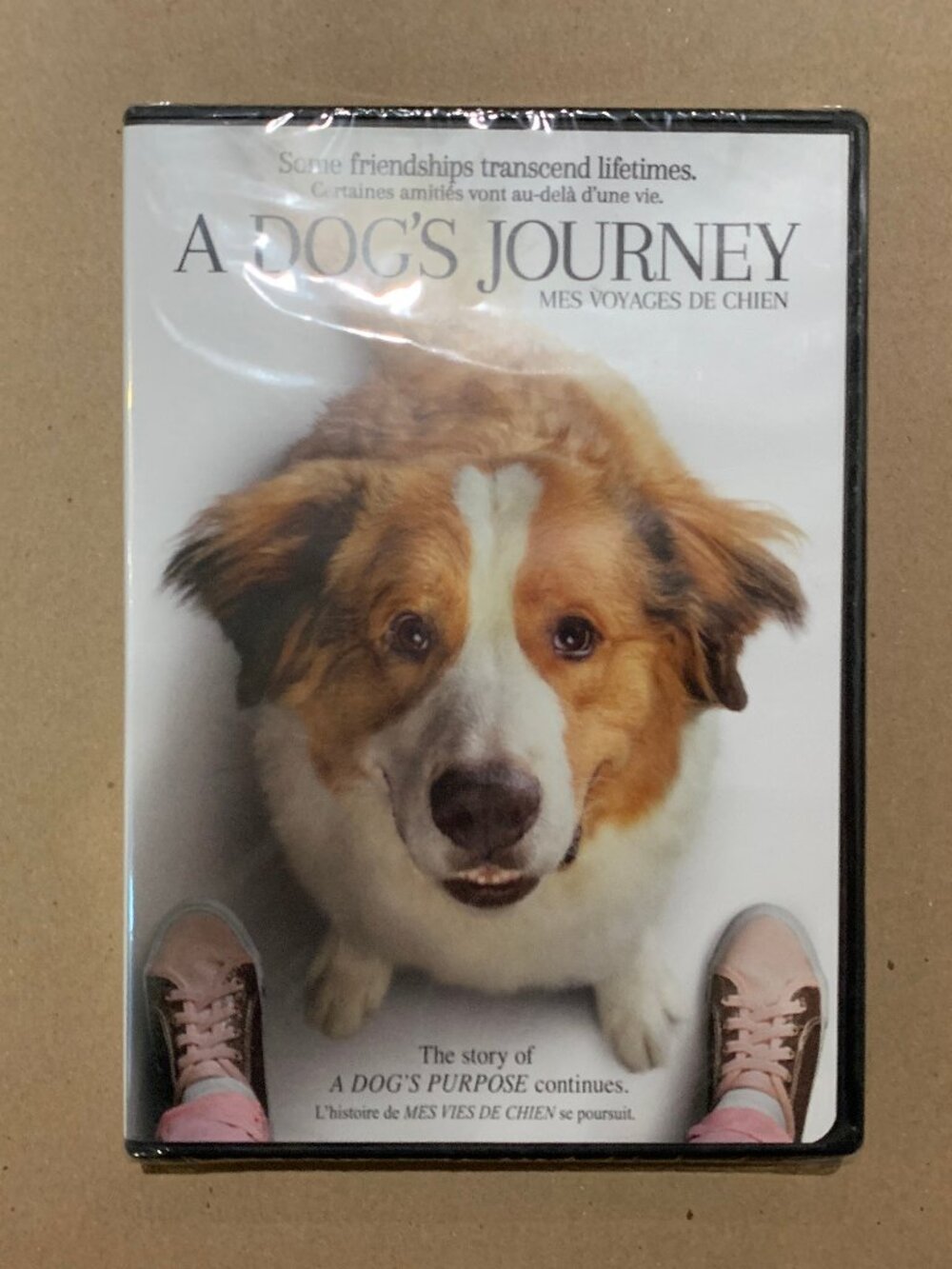 A Dog's Journey (2019) DVD New Sealed